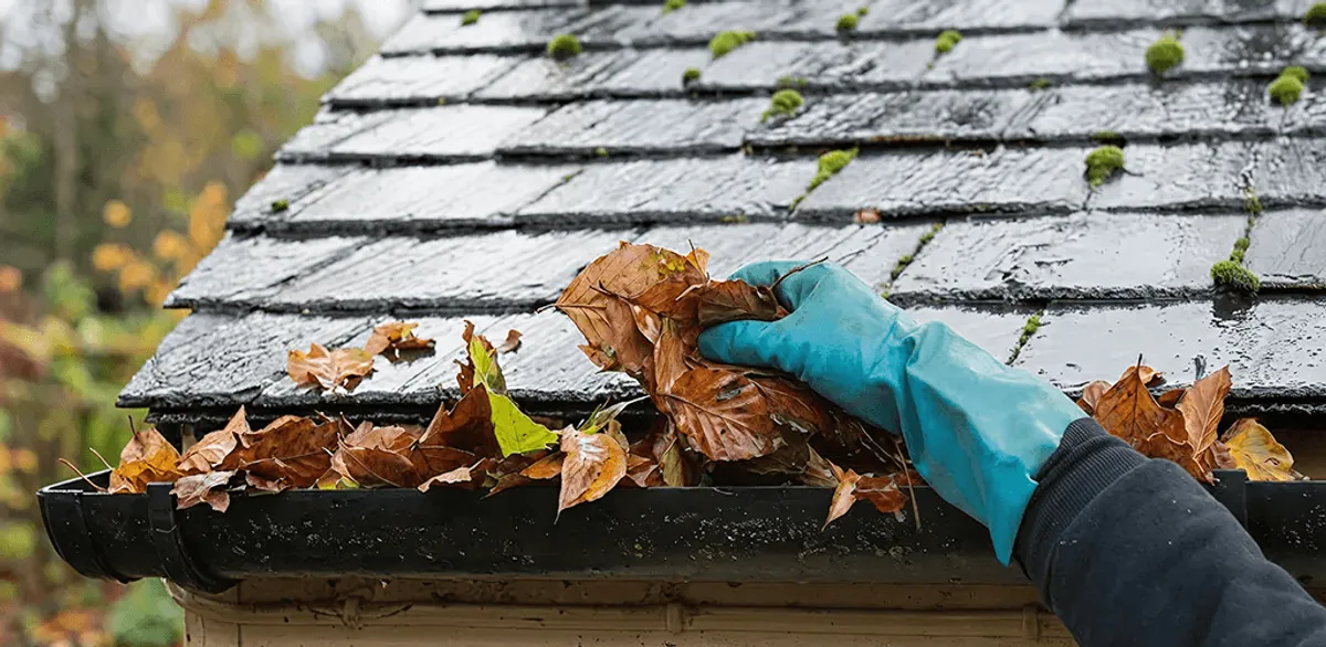 Gutter cleaning technician clearing wet leaves from roof gutters in Chula Vista, CA